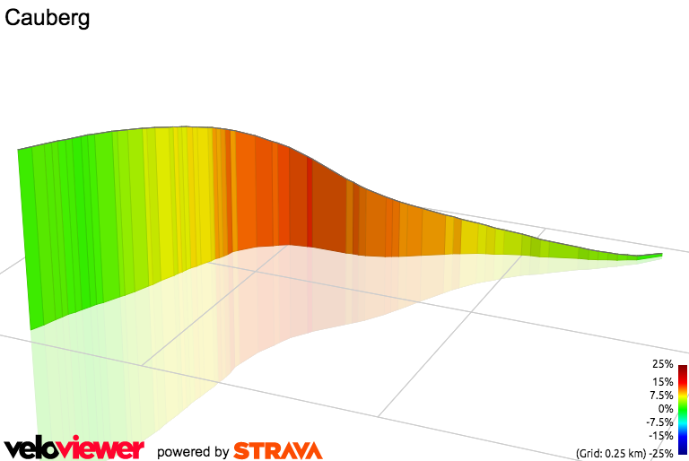 3D Elevation profile image for Cauberg