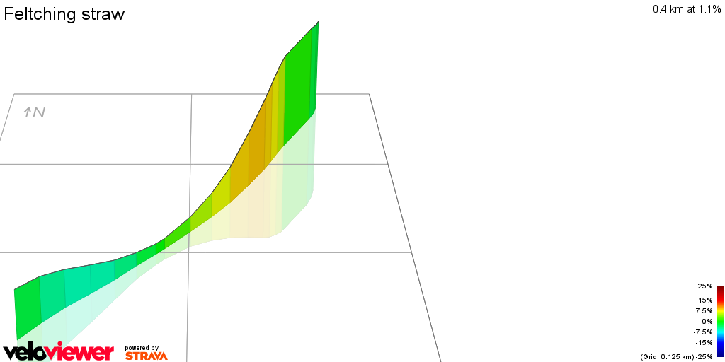 3D Elevation profile image for Feltching straw