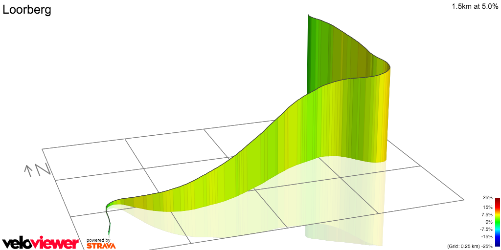 3D Elevation profile image for Loorberg