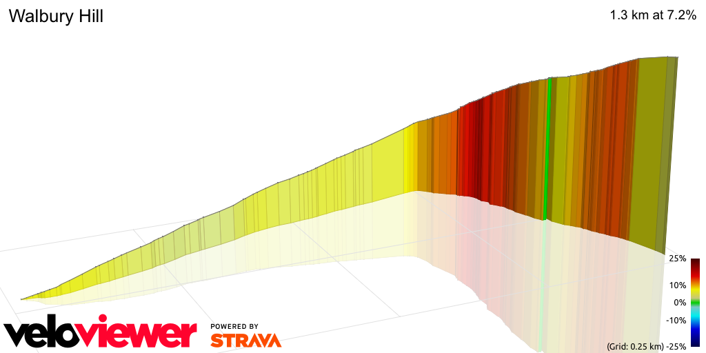 3D Elevation profile image for Walbury Hill