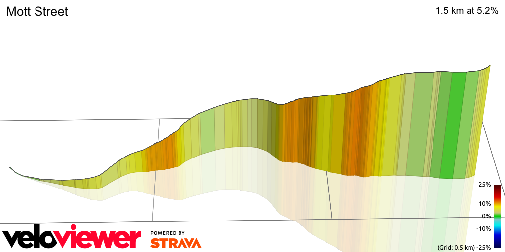 3D Elevation profile image for Mott Street