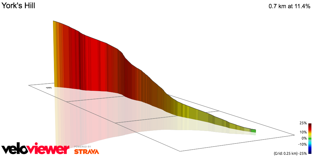 3D Elevation profile image for York's Hill