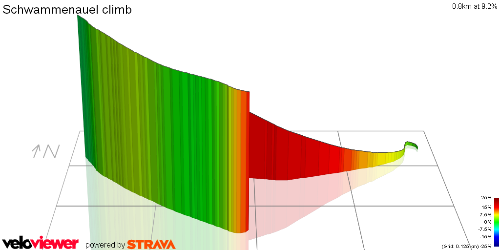 3D Elevation profile image for Schwammenauel climb