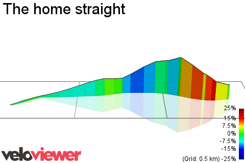 3D Elevation profile image for The home straight 