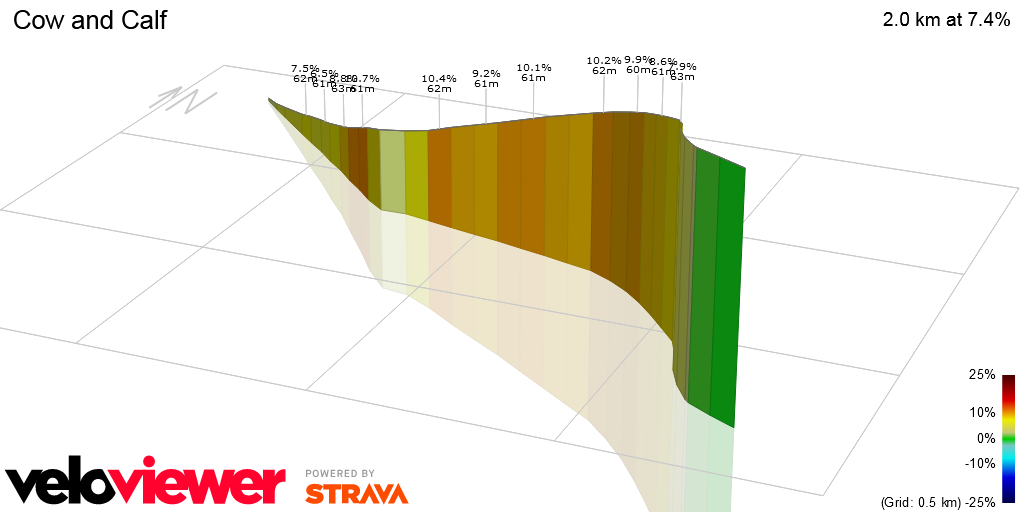 3D Elevation profile image for Cow and Calf