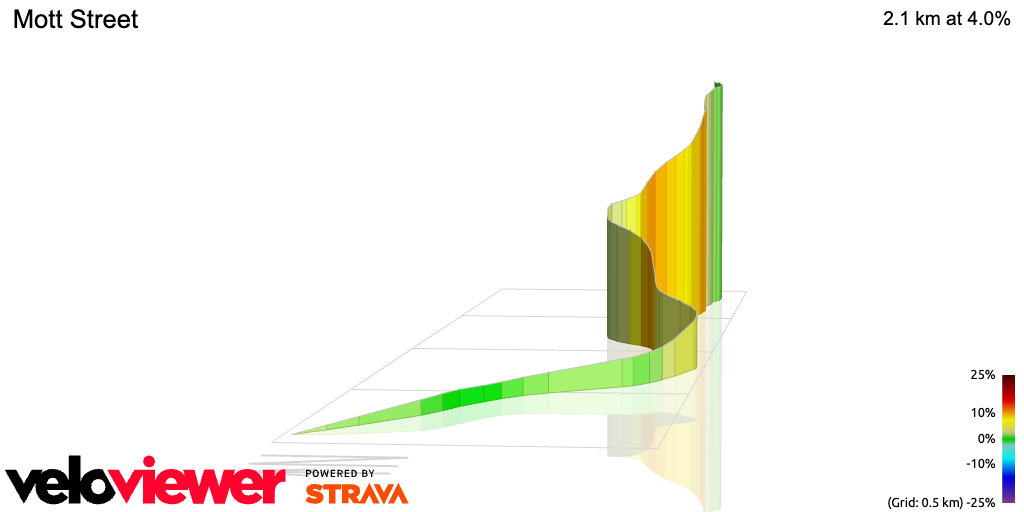 3D Elevation profile image for Mott Street