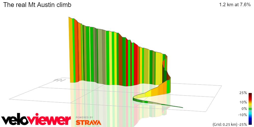 3D Elevation profile image for The real Mt Austin climb