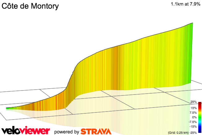 3D Elevation profile image for Côte de Montory