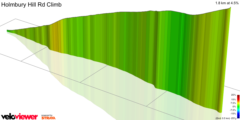 3D Elevation profile image for Holmbury Hill Rd Climb