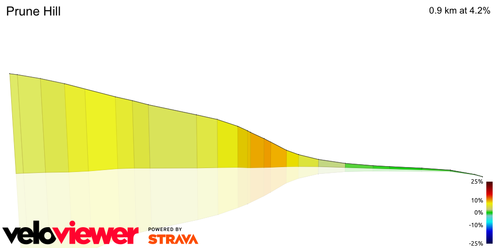 3D Elevation profile image for Prune Hill