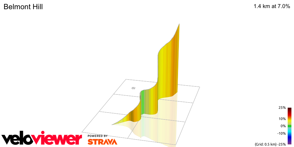 3D Elevation profile image for Belmont Hill