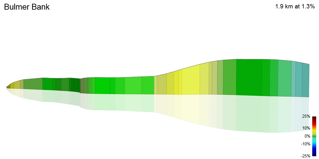 3D Elevation profile image for Bulmer Bank