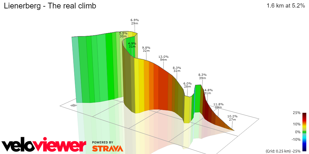 3D Elevation profile image for Lienerberg - The real climb