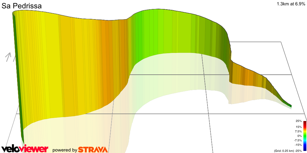3D Elevation profile image for Sa Pedrissa 