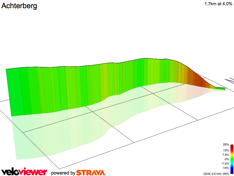3D Elevation profile image for Achterberg