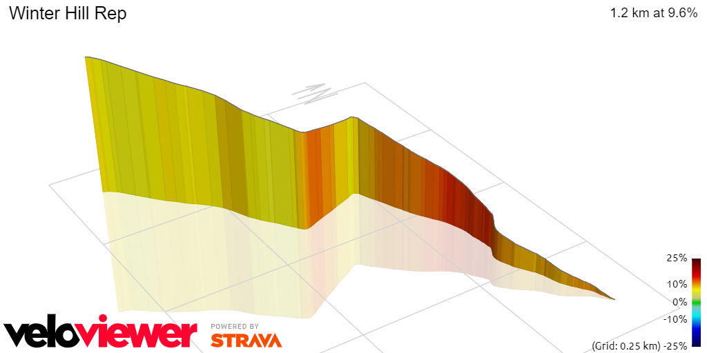 3D Elevation profile image for Winter Hill Rep