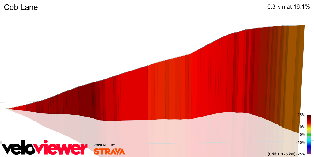 3D Elevation profile image for Cob Lane