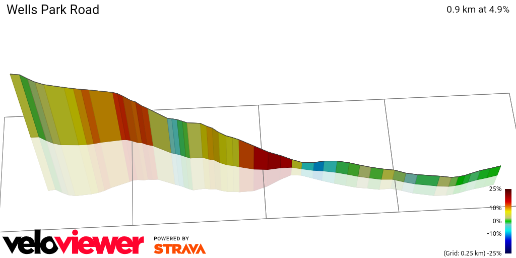 3D Elevation profile image for Wells Park Road
