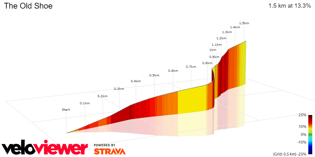 3D Elevation profile image for The Old Shoe