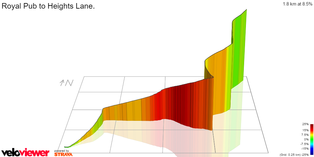 3D Elevation profile image for Royal Pub to Heights Lane.
