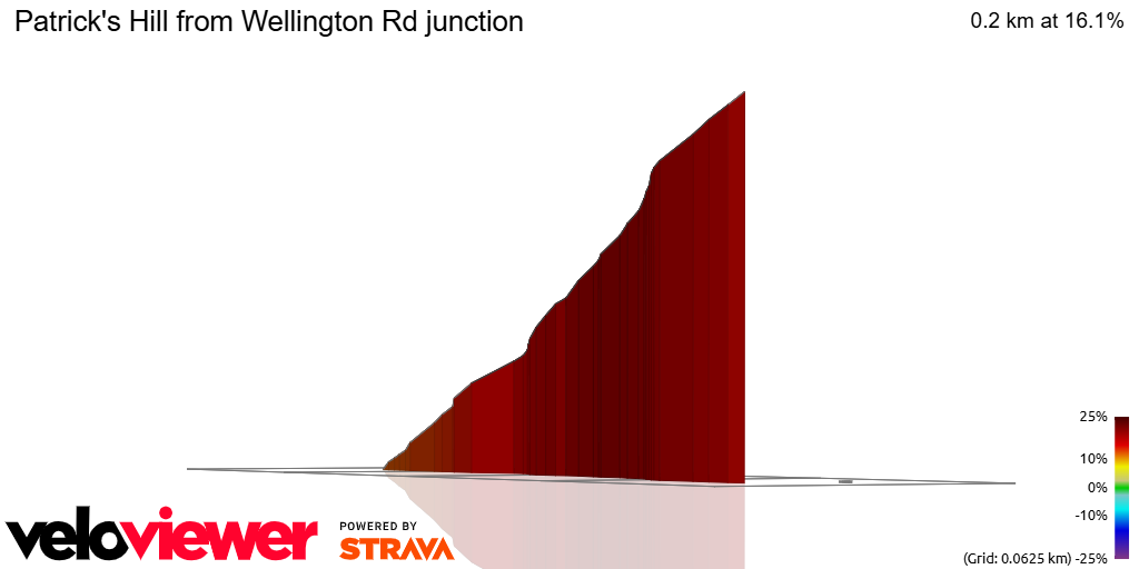 3D Elevation profile image for Patrick's Hill from Wellington Rd junction
