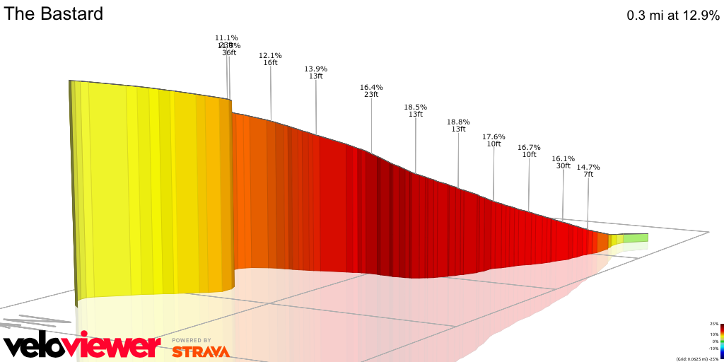 3D Elevation profile image for The Bastard