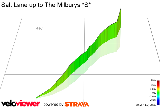 3D Elevation profile image for Salt Lane up to The Milburys *S*