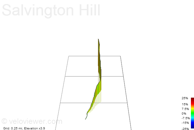 3D Elevation profile image for Salvington Hill