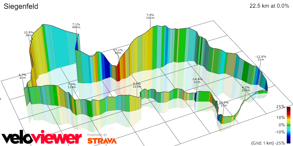 3D Elevation profile image for Siegenfeld